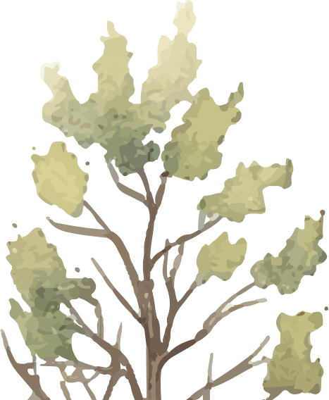 deco
