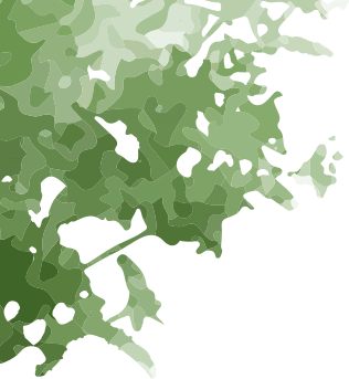 deco