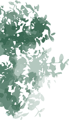 deco