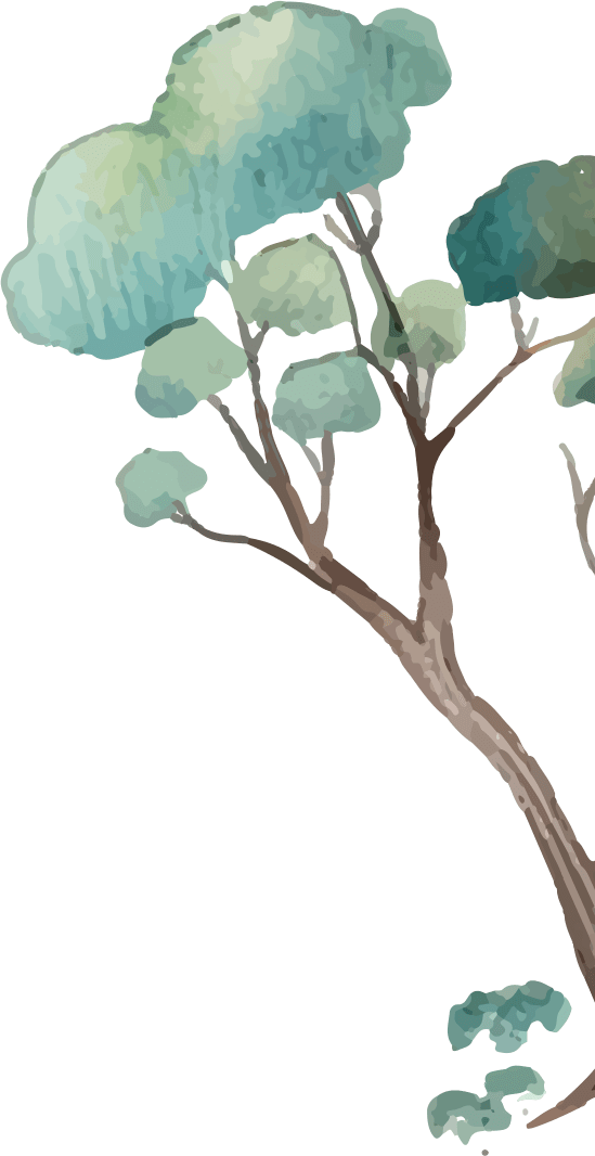 deco