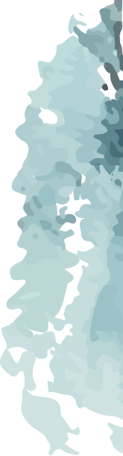 deco