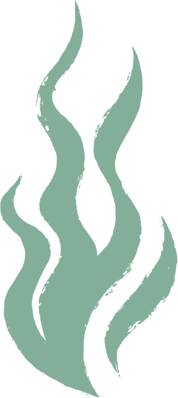 deco