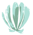 deco