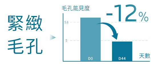 緊緻毛孔