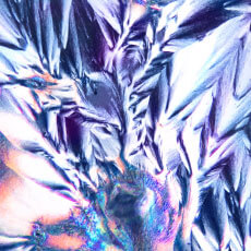 LHA(脂氫氧基酸)