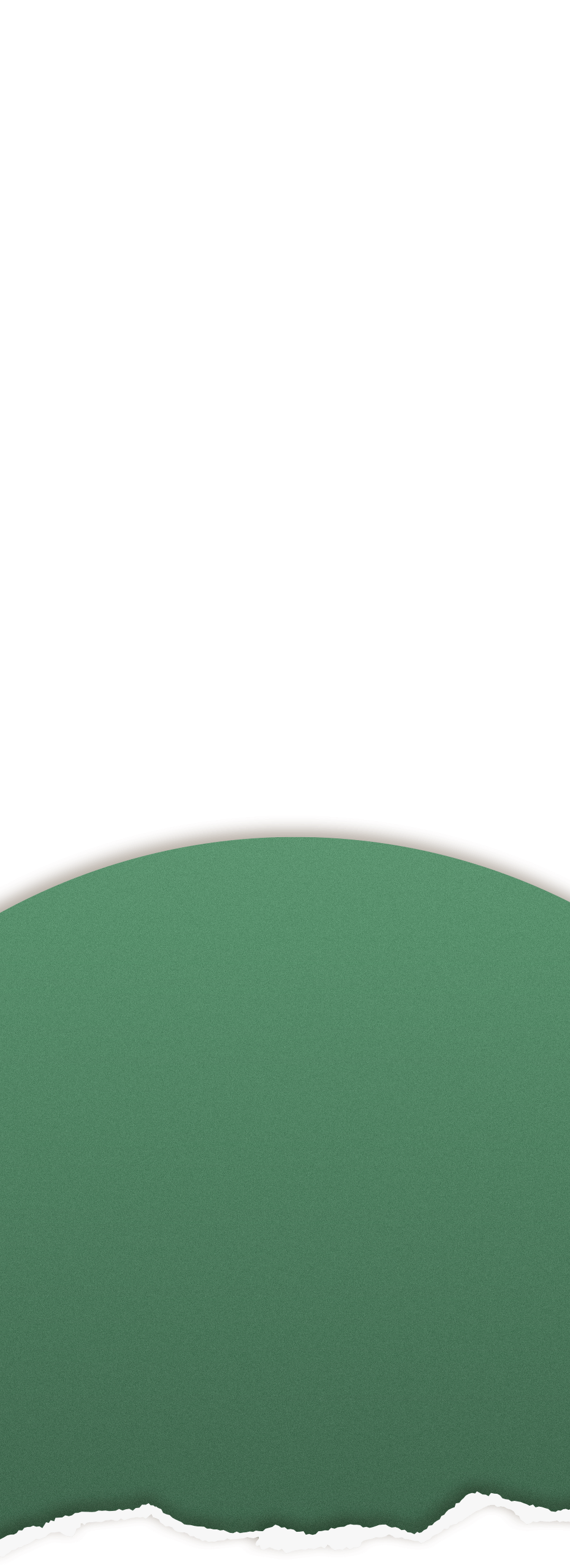 sec-4-1-bg-2
