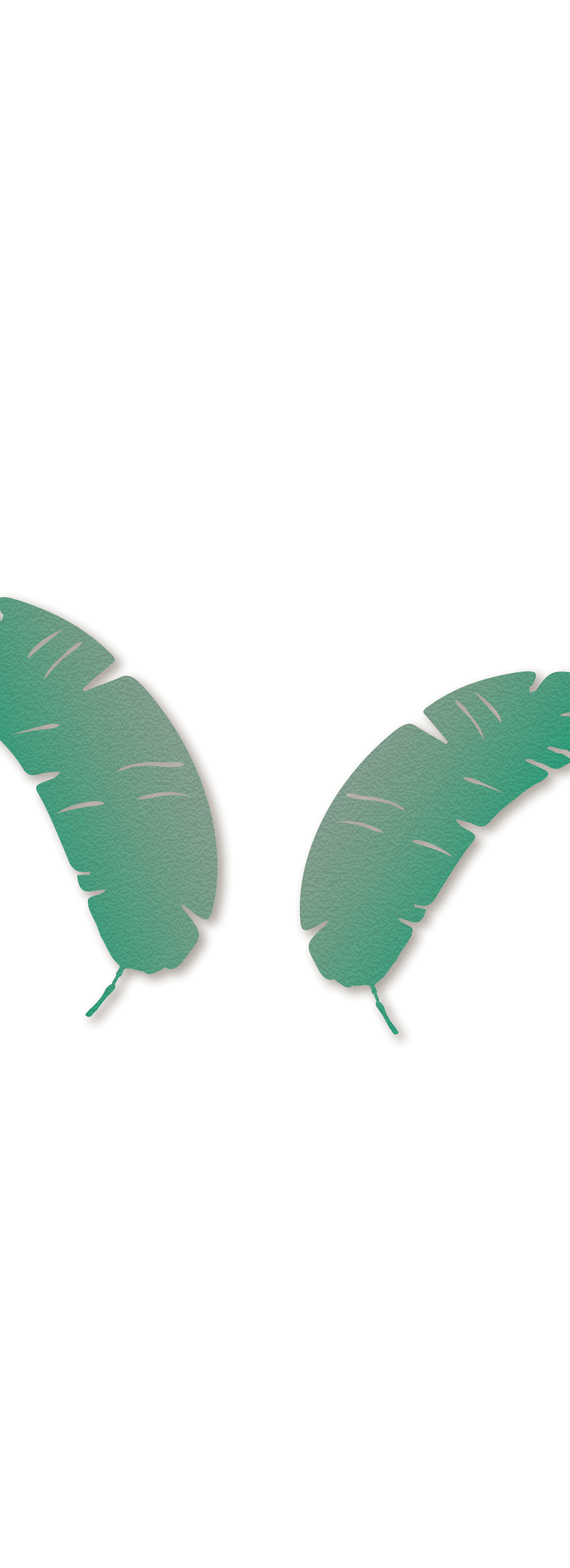 sec-4-1-bg-leaf-1