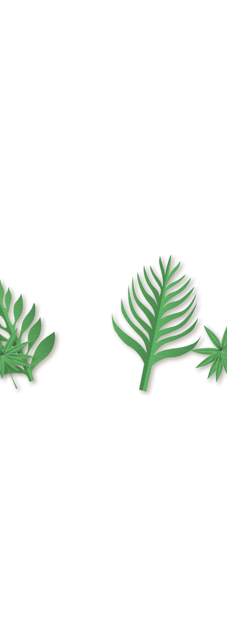 sec-4-1-bg-leaf-3